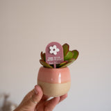Personalised Pot