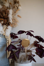 Load image into Gallery viewer, Plant Stake and Seeds
