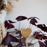 Plant Stake