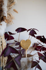 Load image into Gallery viewer, Plant Stake and Seeds
