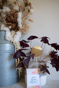 Plant Stake and Seeds