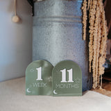 Milestone Disks