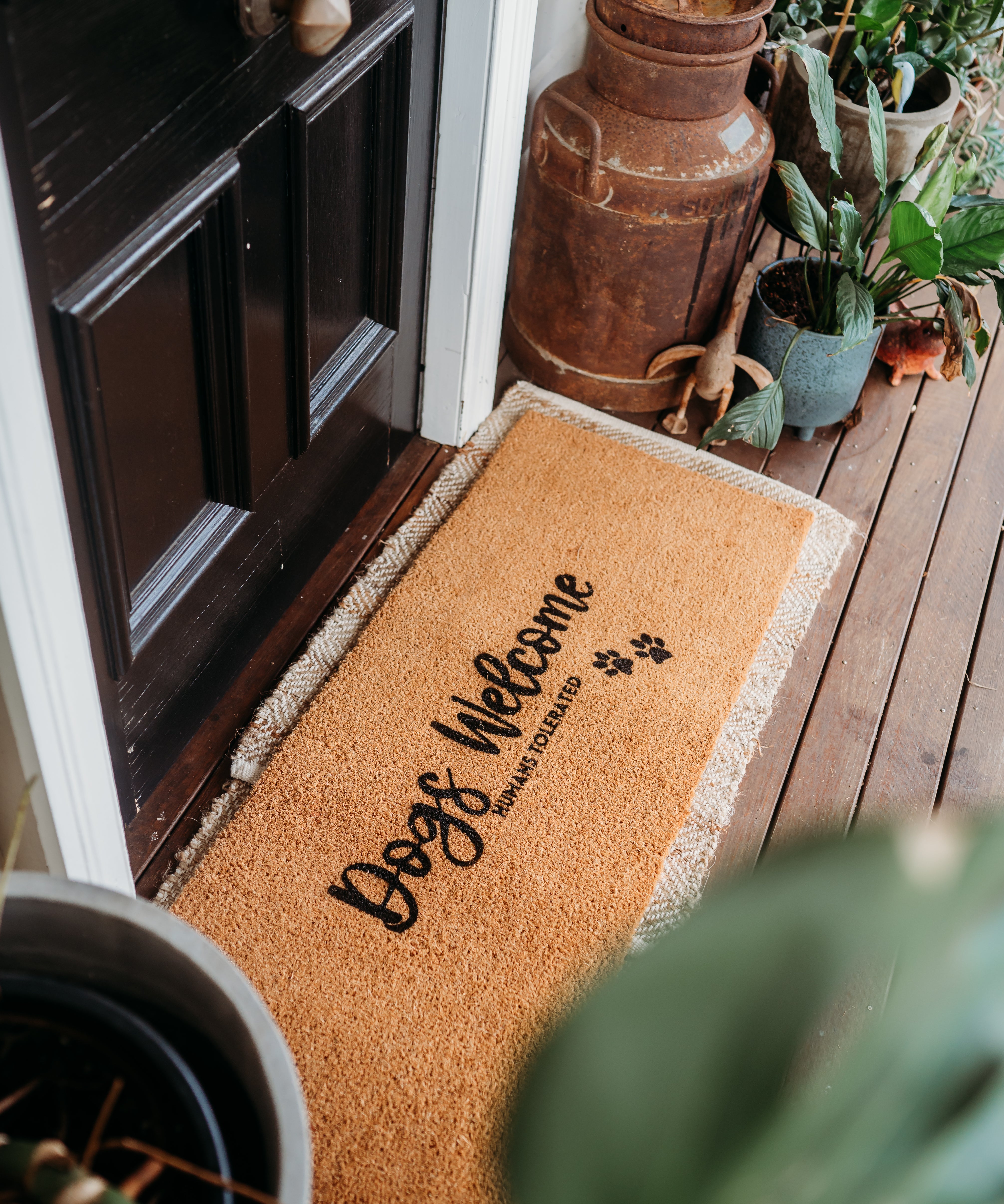 Dogs Welcome - Humans Tolerated