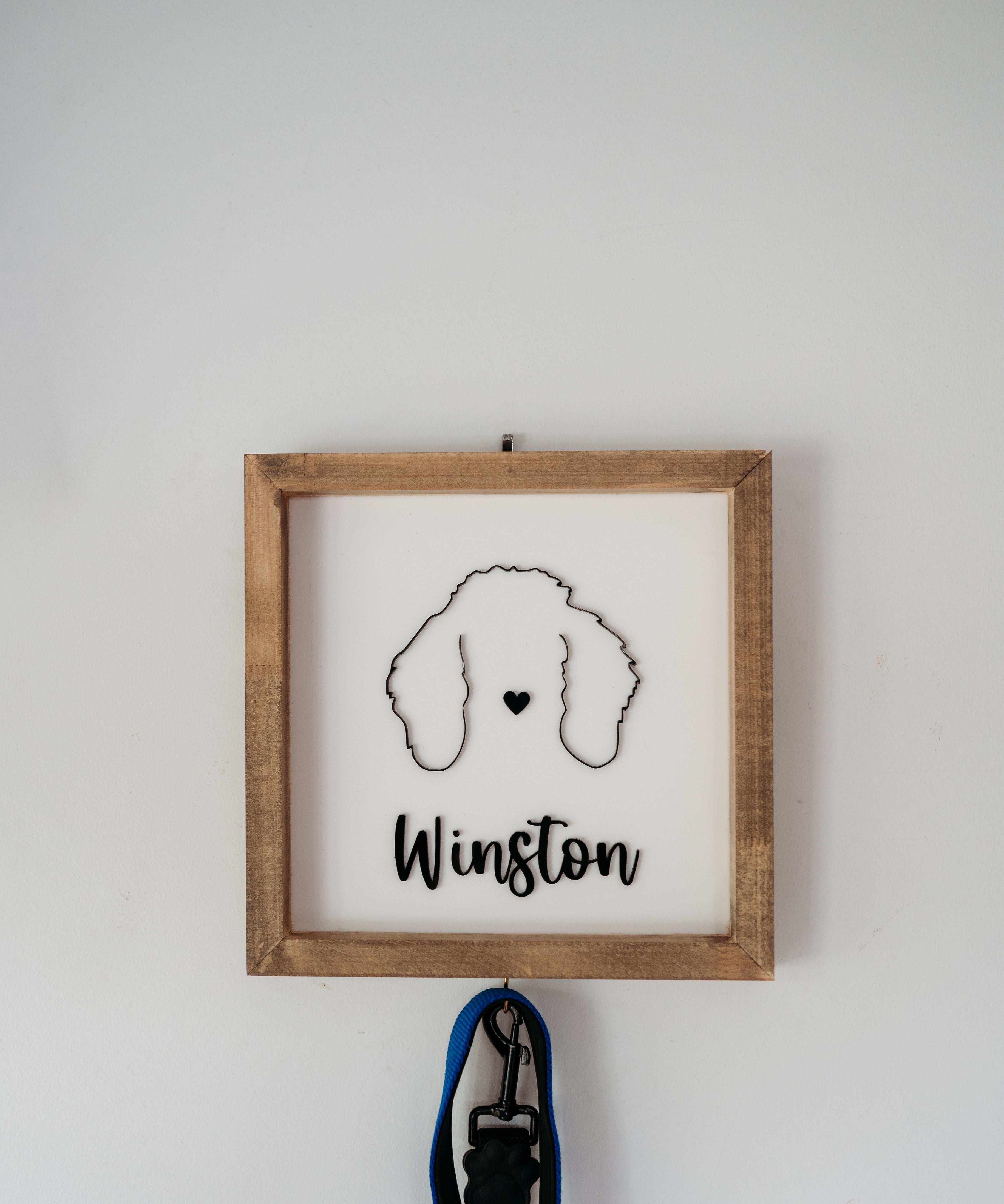 Pet Lead Frame