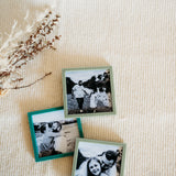 Magnets - Square Acrylic Frame -Set of 6