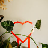 Heart Trellis and Seeds