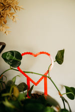 Load image into Gallery viewer, Heart Trellis and Seeds
