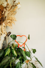 Load image into Gallery viewer, Heart Trellis and Seeds
