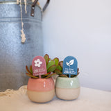 Personalised Pot