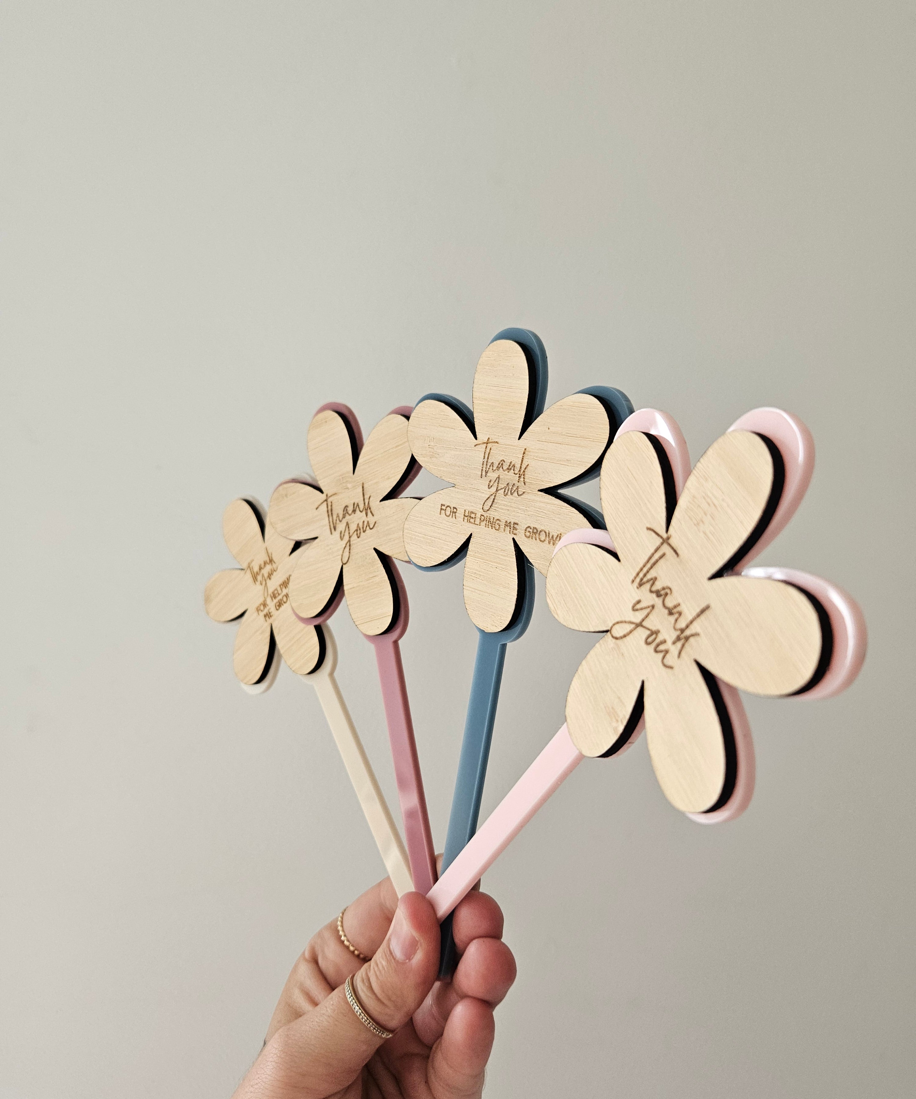 Plant Stakes