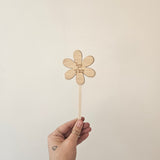 Plant Stakes