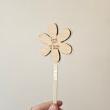 Plant Stakes